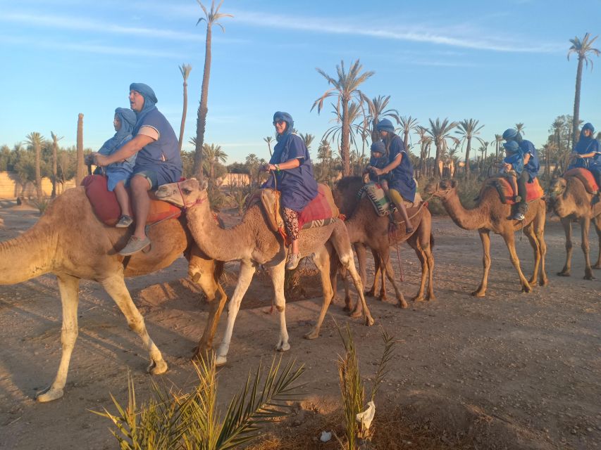 Marrakech: Sunset Camel Ride in the Palmeraie - Experience Highlights