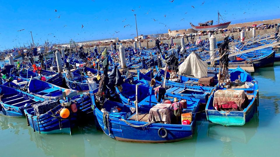 Marrakech to Essaouira: Day Trip With Lunch and Wine Tasting - Scenic Drive to Essaouira