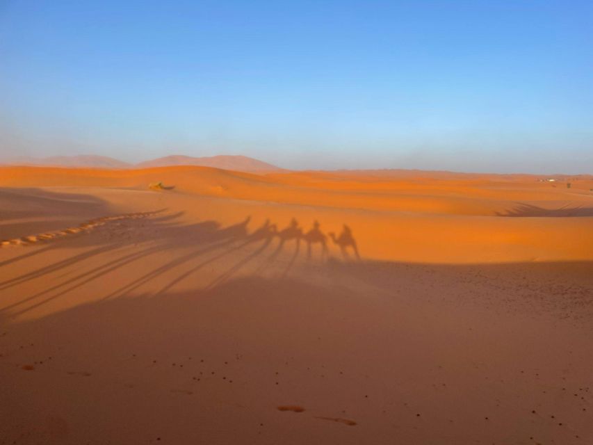 Marrakech to Fes 3 Days Sahara Tour via Merzouga Desert - Customer Testimonials and Reviews