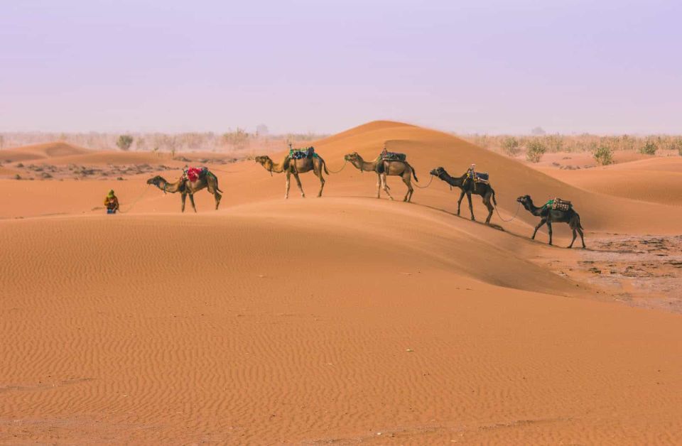 Marrakech To Fes Desert Tour 3 Days - Inclusions and Accommodations