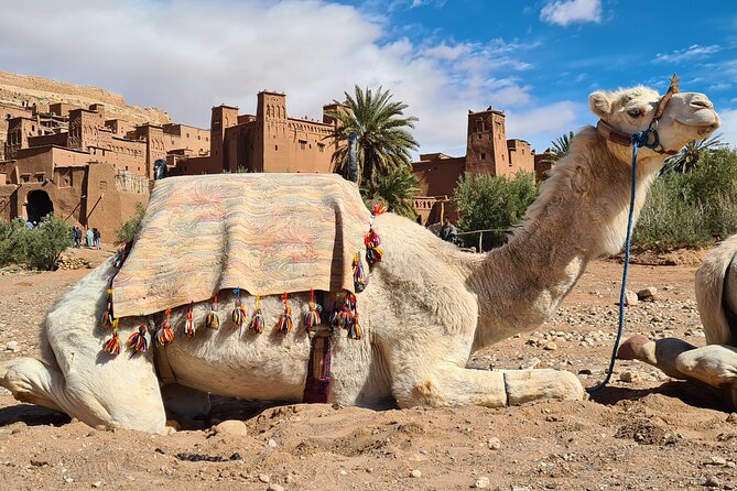 Marrakech to Merzouga: 3-Day Desert Journey to Erg Chebbi - Desert Camp Experience