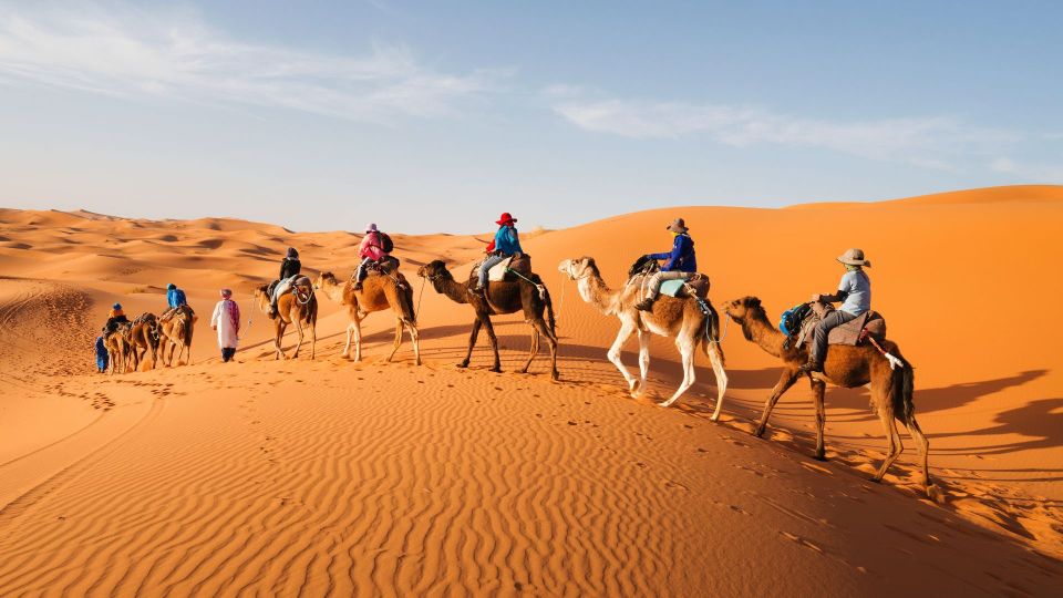 Marrakech to Merzouga Private 3-Day Desert Tour - Day 3 Itinerary