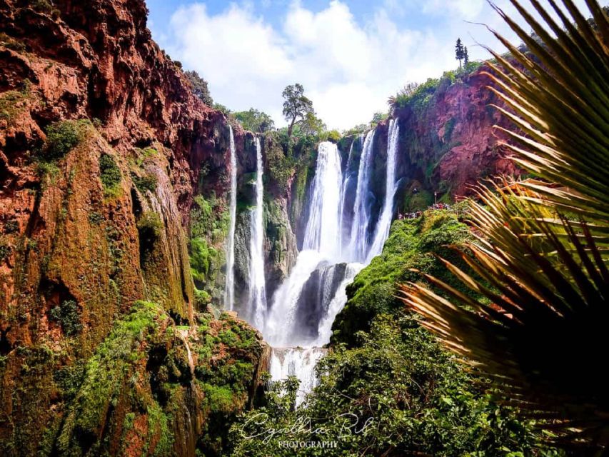 Marrakech To Ouzoud Waterfalls All Exclusive Day Trip - Experience Highlights