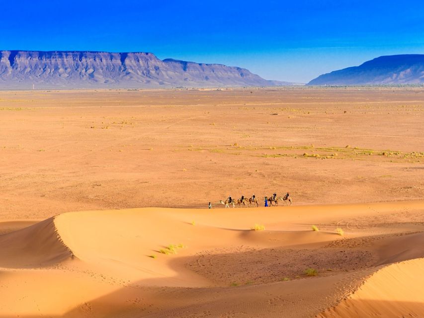 Marrakech to Zagora 2-Day Desert With Food & Camp - Experience Highlights