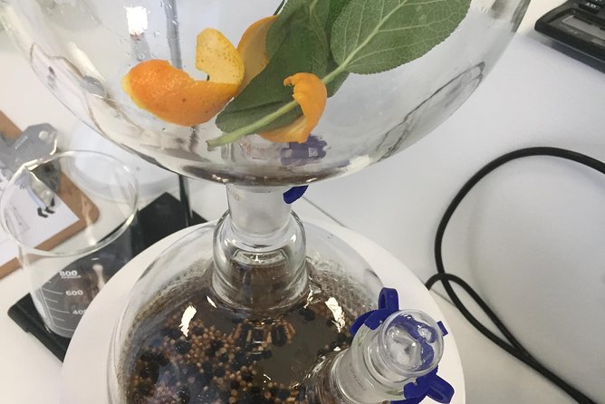 Master Gin Making Classes - Gin Making Experience