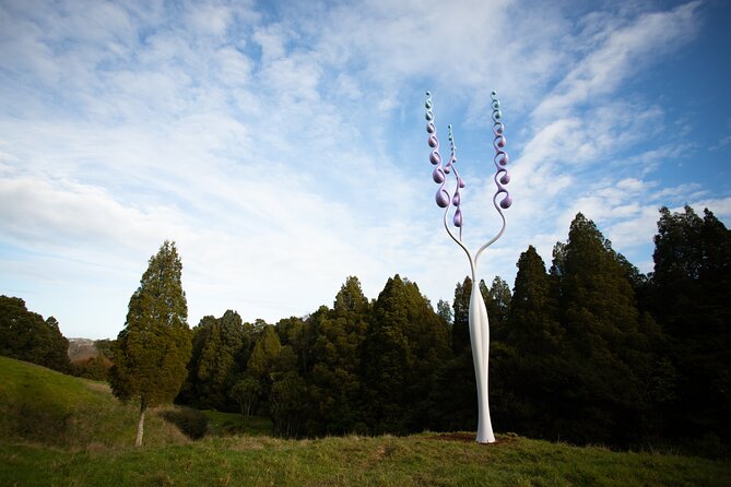 Matakana Art & Vineyard Experience Incl. Lunch & Wine Tasting Tour From Auckland - Lunch Experience