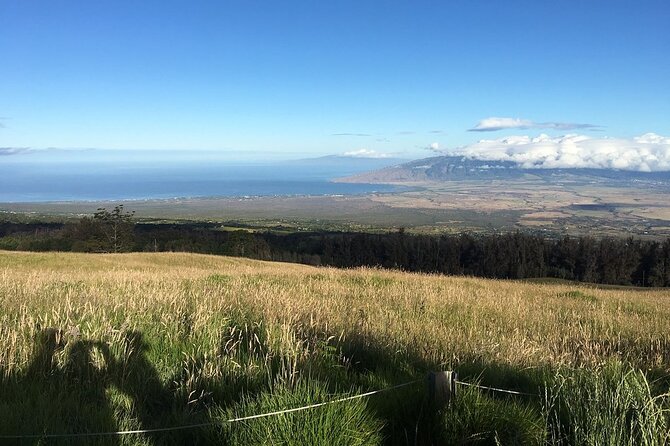 Maui Haleakala Sunrise Downhill Bike Tour With Mountain Riders Rated #1 - Traveler Benefits and Highlights