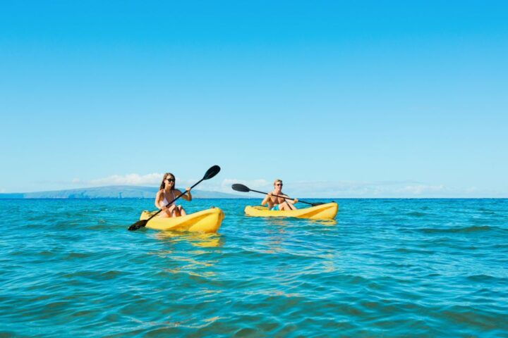 Maui: Turtle Town Kayak and Snorkel Tour - Experience Highlights