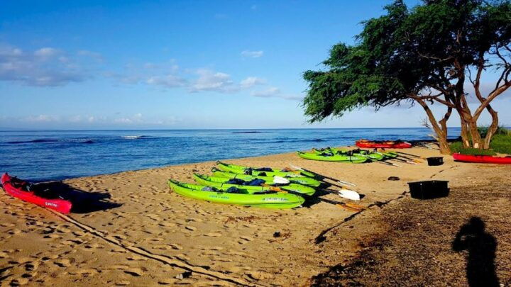 Maui: West Side Discovery Kayak & Snorkel From UKUMEHAME - Highlights