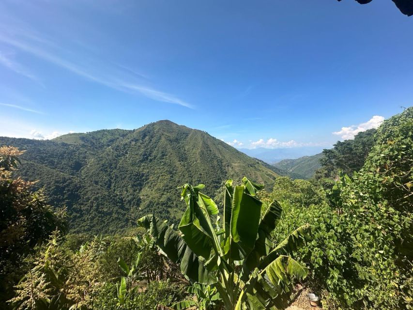 Medellin: Agro-Tour Live a Magical and Educational Experience - Tour Highlights