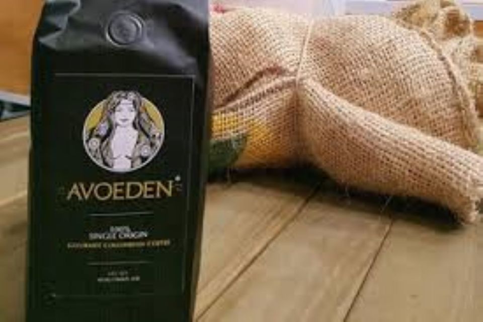 Medellin: Avoeden Café Coffee Brewing Workshop - Participant Experience