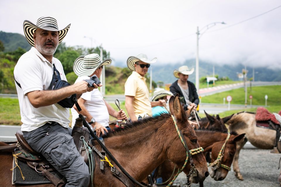 Medellin: Coffee Tour, Horseback Arrival, and Sugar Cane - Inclusions and Booking Information