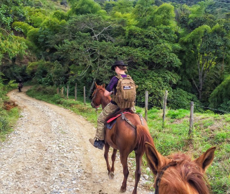 Medellin: Guided Tour on Horseback in Nature - Tour Highlights