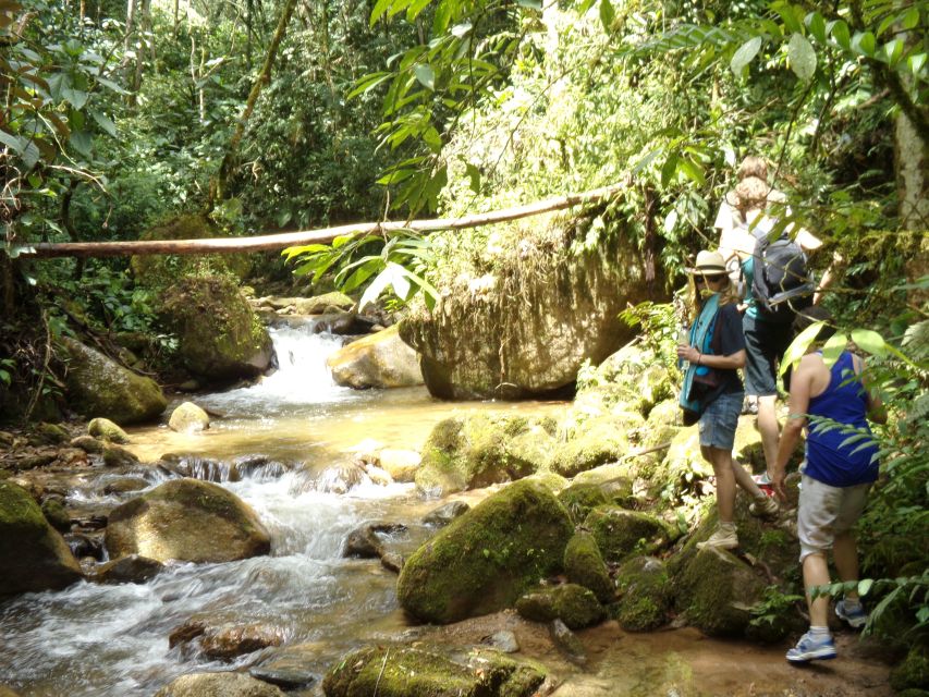 Medellin: Half–Day Private Nature Tour & Waterfall Hike - Eco-Hike and Waterfall Visit