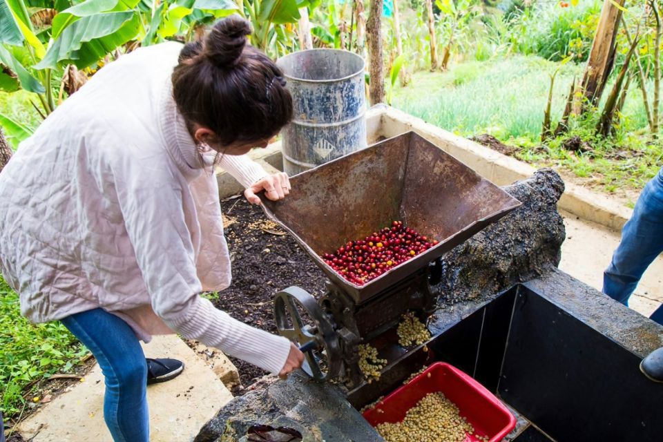 Medellin: Horseback Riding Coffee Farm Tour With Coffee Spa - Review Summary and Full Description