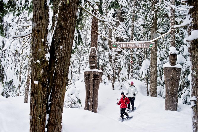 Medicine Trail Snowshoe Tour - Itinerary and Experience