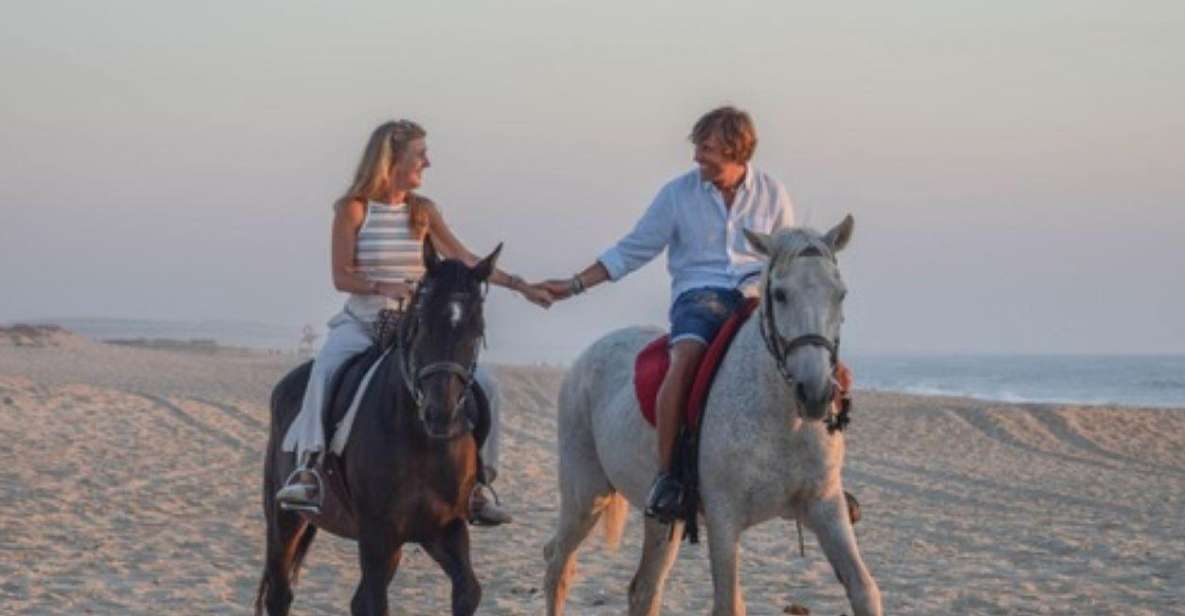 Melides: Horseback Riding on Melides Beach - Experience Highlights