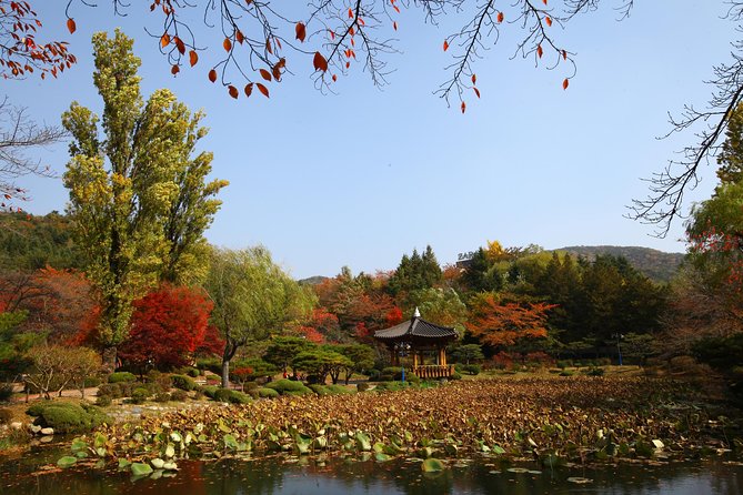 Memorable Autumn Foliage Random Tour (From Busan) - Itinerary Overview