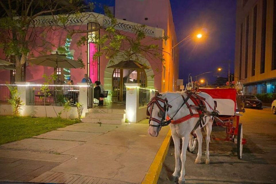 Mérida: Horse-Drawn Carriage Experience - Logistics and Participant Considerations