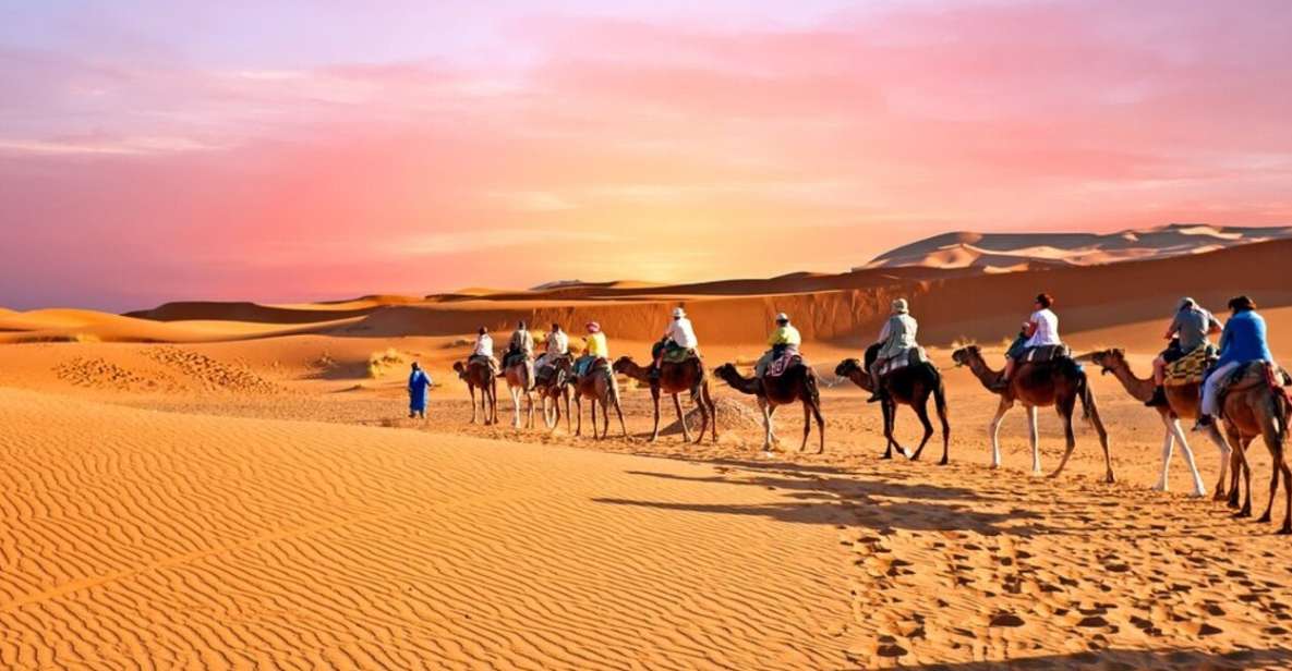 Merzouga: Desert Tour From Fez to Marrakech (3 Days) - Experience Highlights