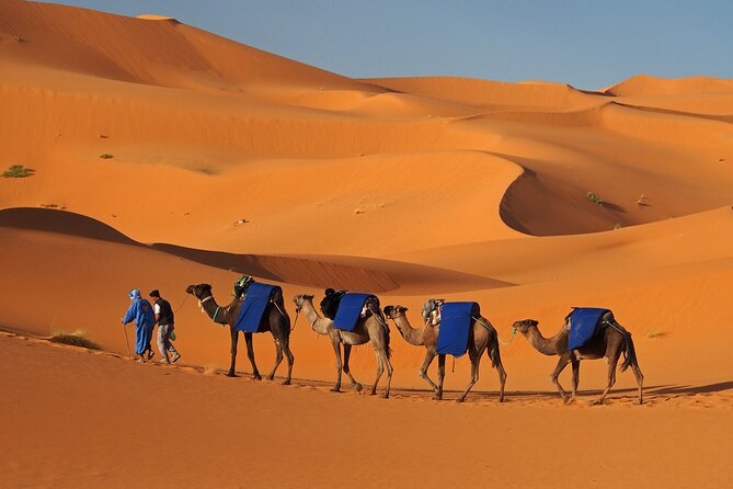 MERZOUGA DESERT TREK - 3 DAYS From Marrakech - Logistics and Booking Information