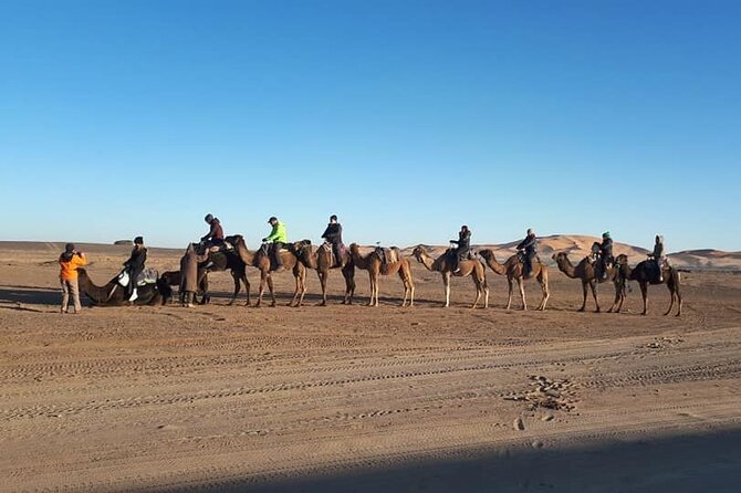 Merzouga Sahara & Erg Chebbi Luxury Bivouac - Gourmet Dining Experiences