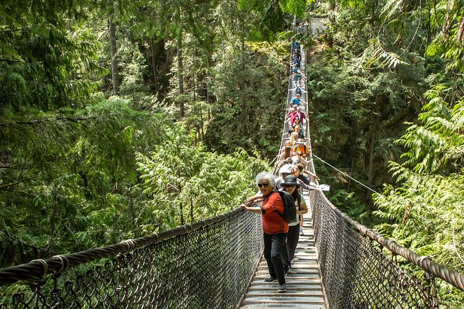 Mesmerizing Nature Walk in Lynn Canyon Park - What to Expect on the Tour