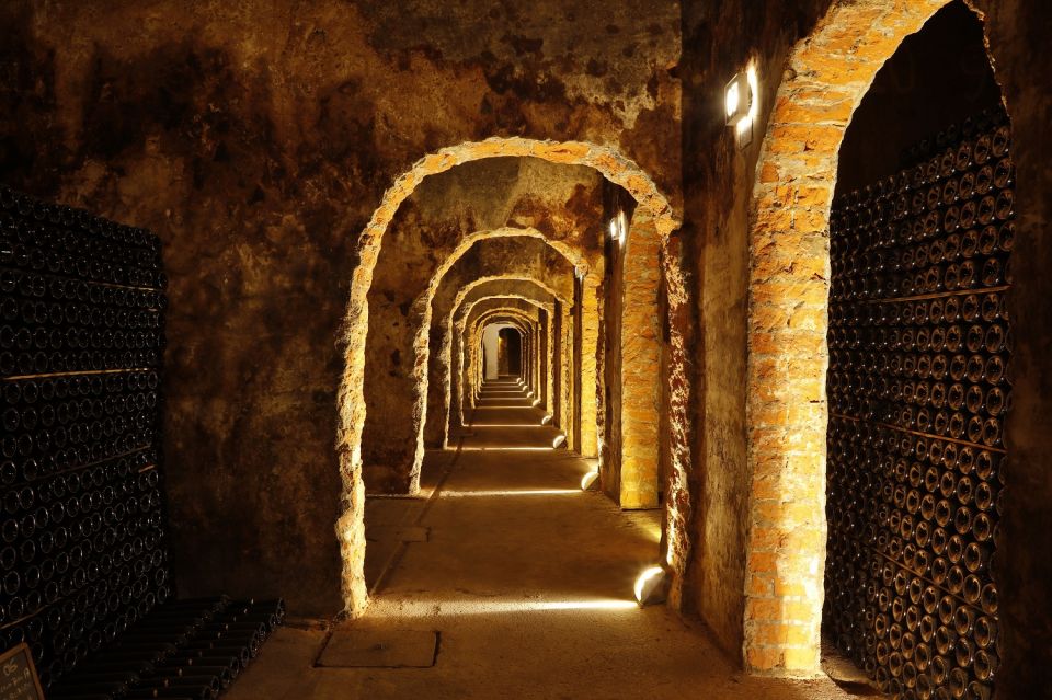 Messias Cellars With Tasting of Sparkling Wine and Port Wine - Immersive Vineyard Experience