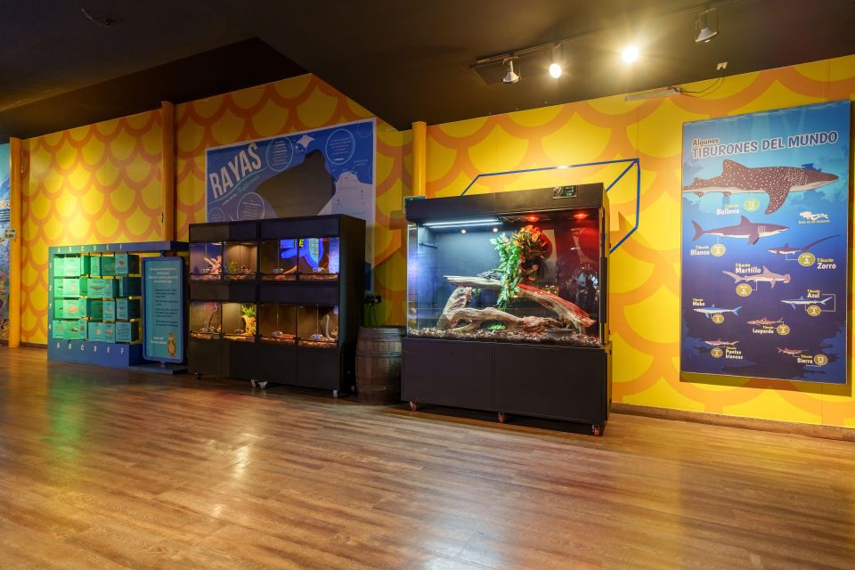 Mexico City: Inbursa Aquarium Ticket With VR Option - Experience Highlights