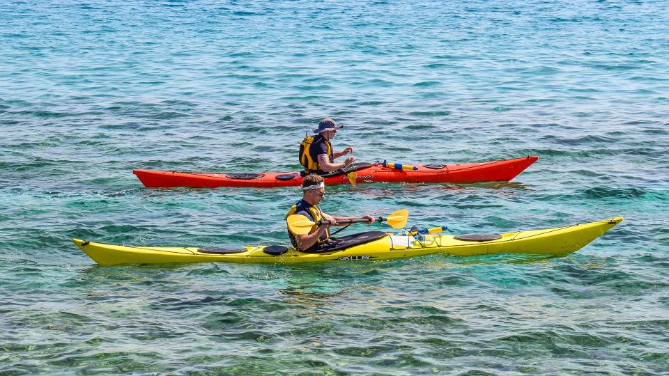 Miami: Biscayne Bay Aquatic Preserve Kayak Tour - Experience Highlights