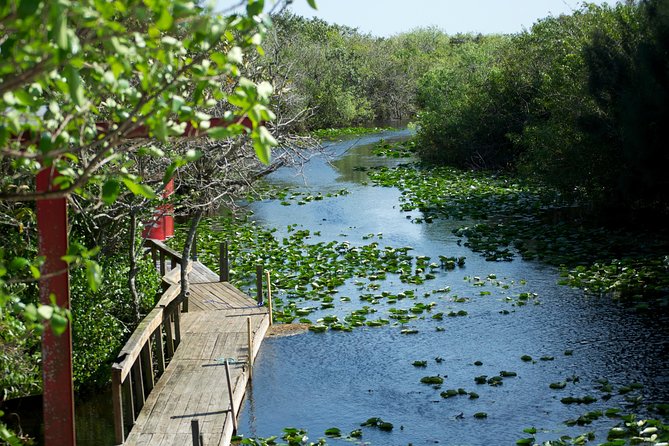 Miami Everglades: Airboat Tour, Wildlife Show, and Roundtrip Bus - Value Assessment