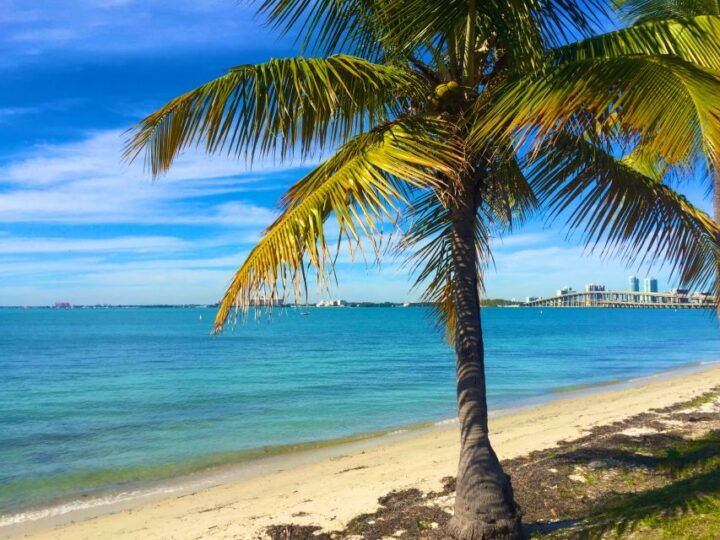 Miami: Hobie Cat Sailing - Meeting Point