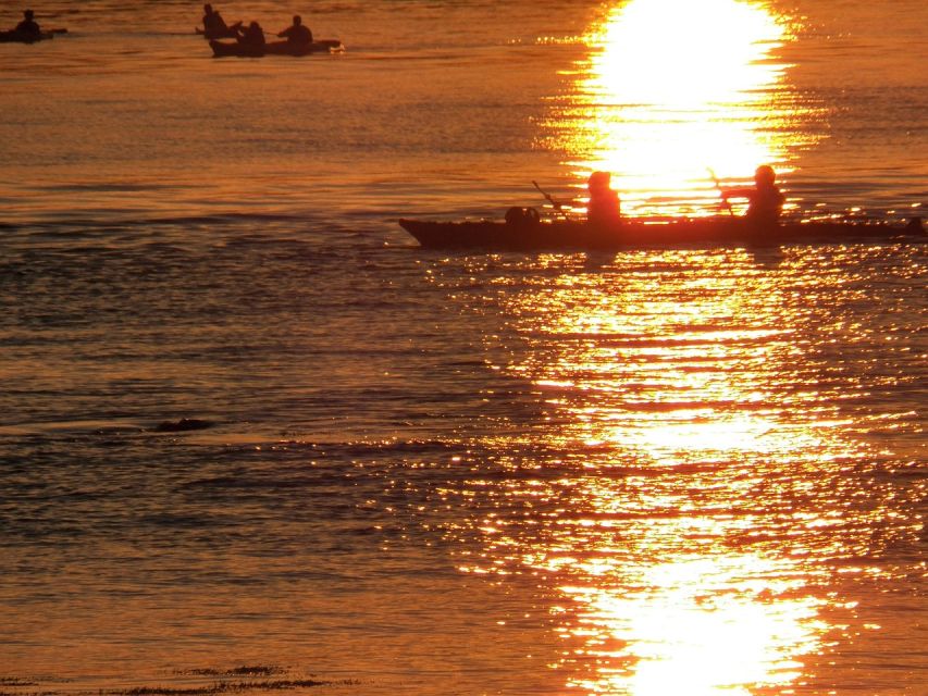 Miami: Sunset Biscayne Bay Aquatic Preserve Kayak Tour - Experience Highlights