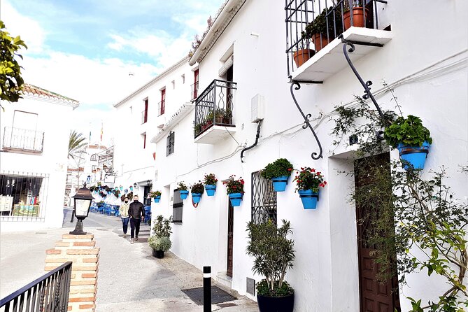 Mijas Pueblo Group Walking Tour - Traveler Reviews