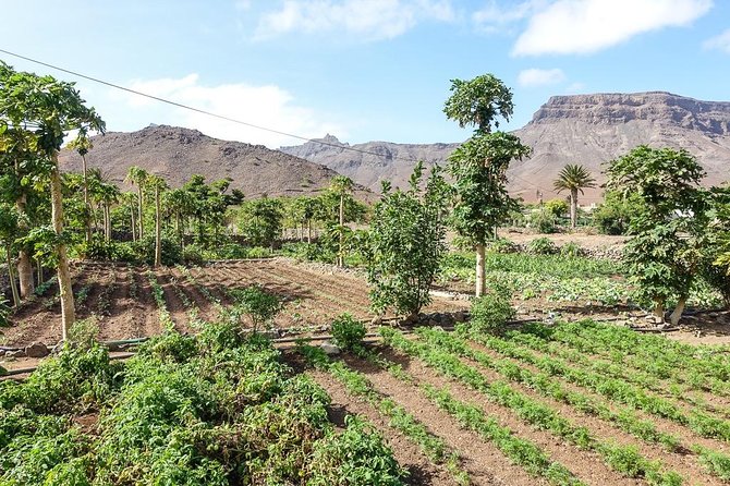 Mindelo, Cape Verde Full Day Tour  - Sao Vicente - Tour Logistics