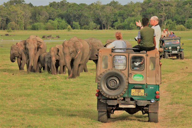 Minneriya National Park Elephant Jeep Safari - Private - Pickup and Drop-off Details
