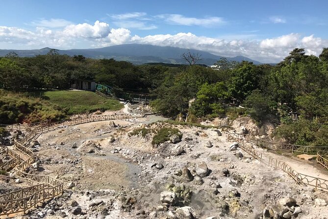 Miravalles Volcano-Hiking, Waterfall, Hot Spring & Lunch - Lunch Details