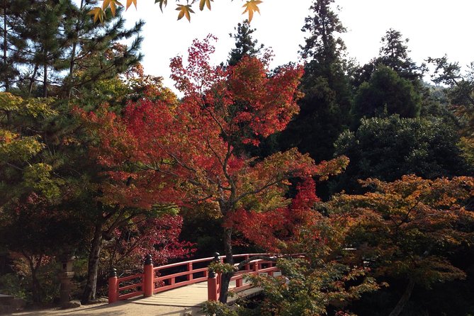 Miyajima Full Day Tour - Inclusions