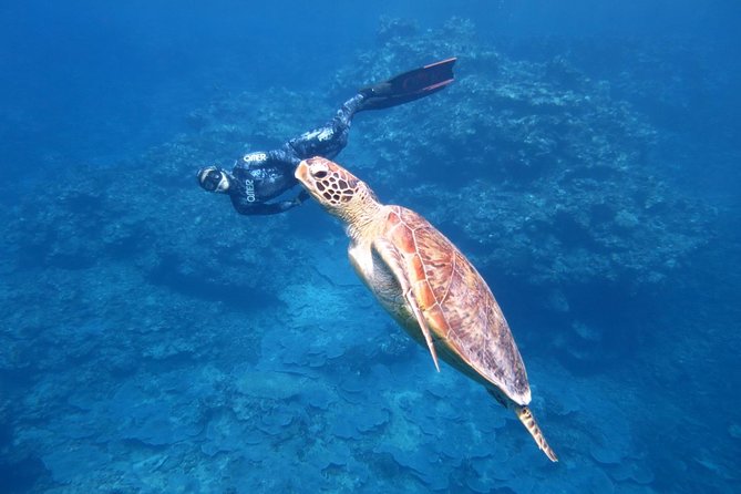 [Miyakojima, Diving Experience] Completely Charter for 2 or More People. Sometimes You Can See Sea Turtles and Sharks - Cancellation Policy Details