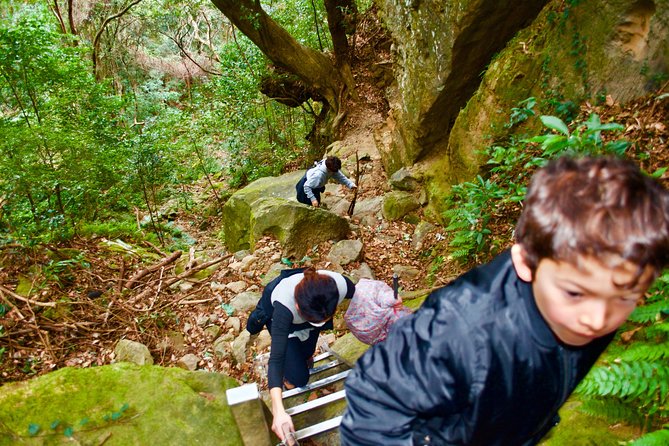 Miyazaki Hiking Tour  - Kyushu - Additional Information