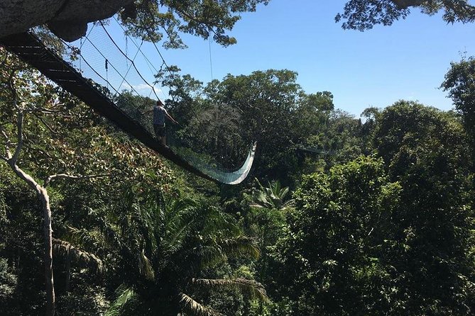 Monkey Island , Kayak , Canopy Bridge and Zipline - Traveler Resources and Assistance