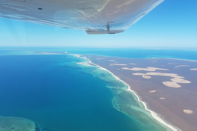 Monkey Mia Dolphins & Shark Bay Air Tour From Perth - Booking Information