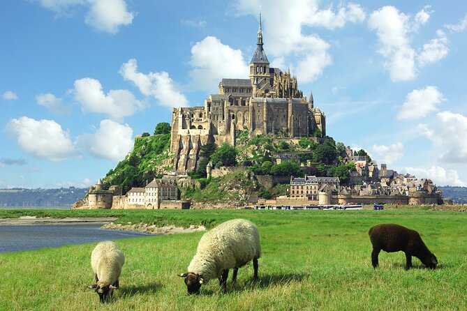 Mont Saint Michel Private Tour With Pickup From Honfleur - Pickup Points and Drop-off Location
