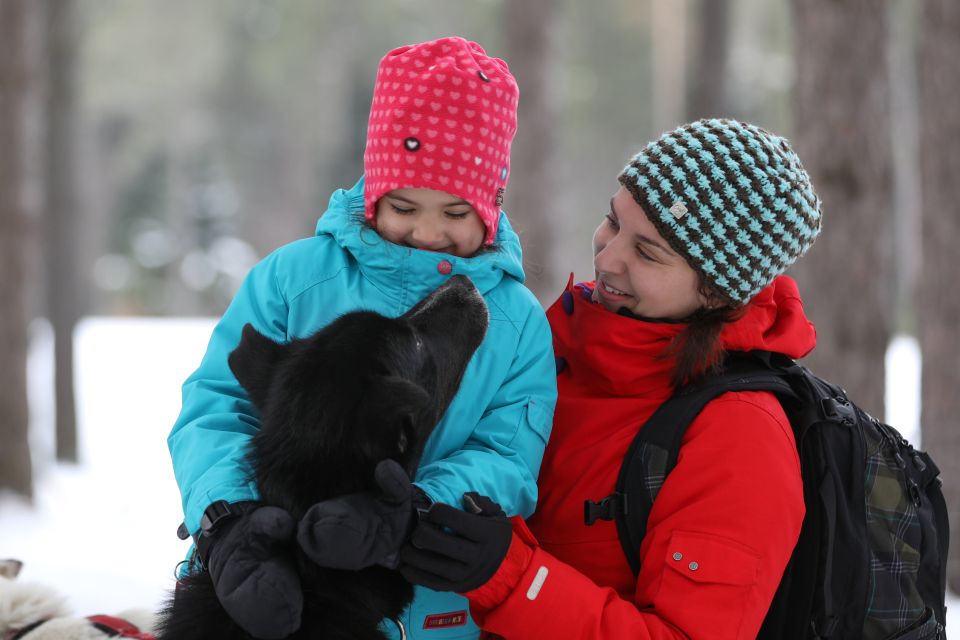 Mont-Tremblant: Dogsledding Experience - Experience Highlights