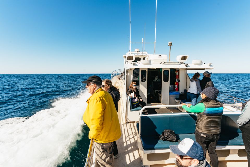 Monterey Bay: Whale Watching Tour - Tour Highlights