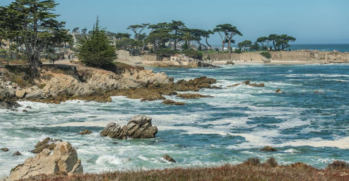 Monterey Peninsula Sightseeing Tour Along the 17 Mile Drive - Tour Experience