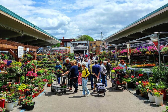 Montreals Little Italy & Jean Talon Market Tour by MTL Detours - Meeting Information