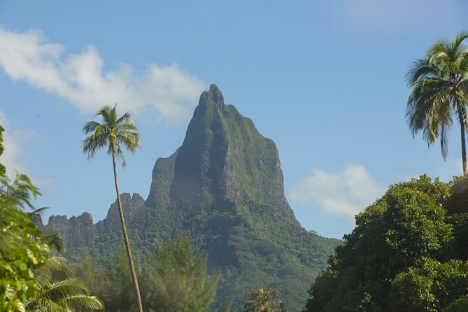 Moorea Highlights Private Tour: Natural and Cultural Attraction - Itinerary Highlights