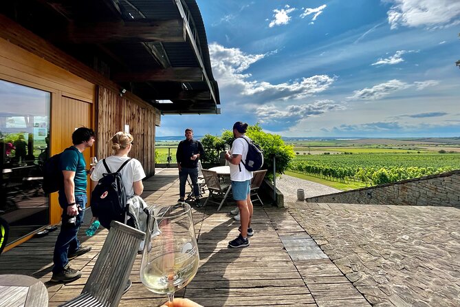 Moravian E-Bike & Wine Day Trip From Brno - Wine Tasting Experience