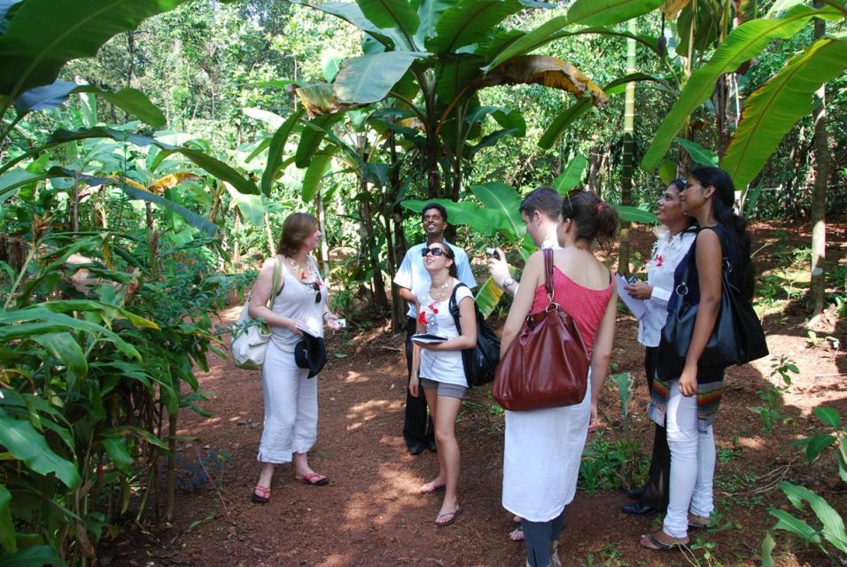 Mormugao Goa Offshore Old Goa Churches,Spice Farm Lunch Tour - Experience